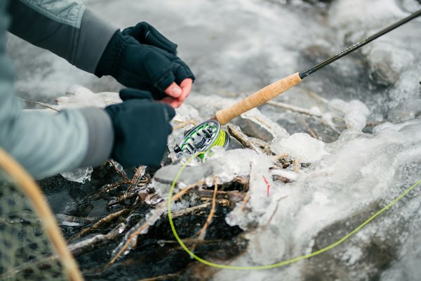 Où découvrir les traditions de la pêche au saumon en Alaska?